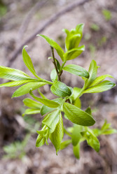 Similar image 8267970