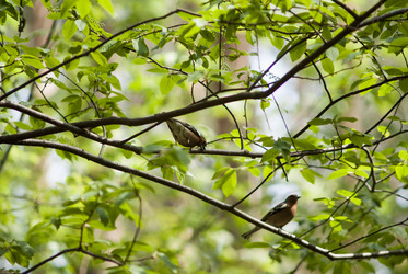 Similar image 8267975