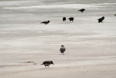 Similar image 8267976