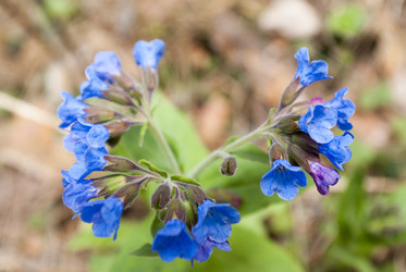 Similar image 8267977