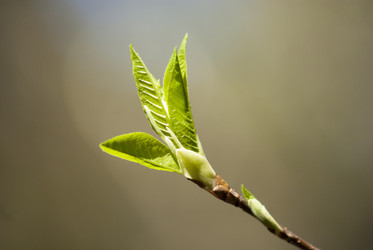 Similar image 8267978