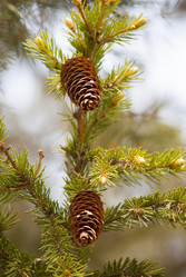 Similar image 8267980