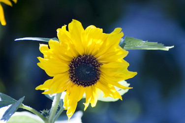 Similar image 8267990