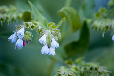 Similar image 8267992