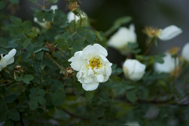 Similar image 8267993