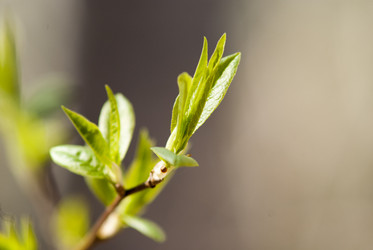 Similar image 8267998