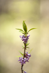 Similar image 8268000