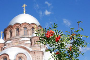 Similar image 8268032