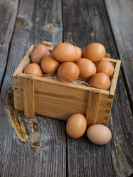 Similar image 8268115