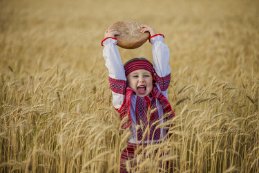 Similar image 8268196