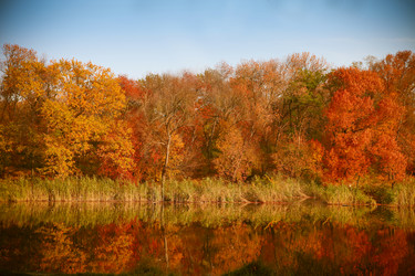 Similar image 8268208