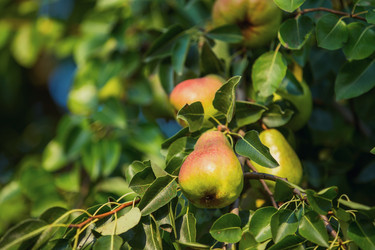 Similar image 8268212