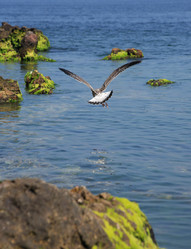 Similar image 8268285