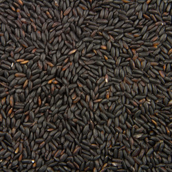 Similar image 8268448