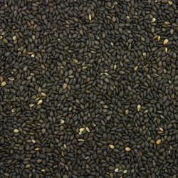 Similar image 8268469