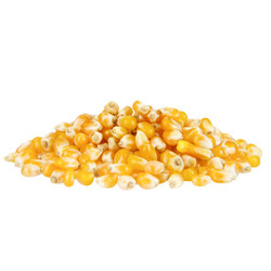 Similar image 8268480