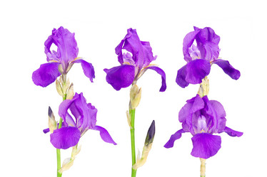 Similar image 8268494