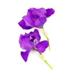 Similar image 8268495