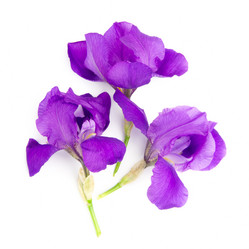 Similar image 8268496