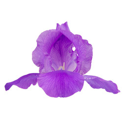 Similar image 8268497