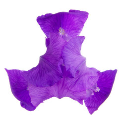 Similar image 8268498