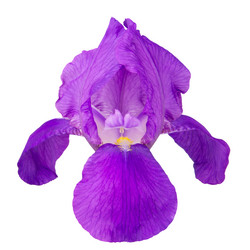 Similar image 8268499