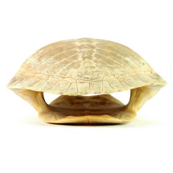 Similar image 8268513