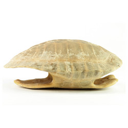 Similar image 8268514