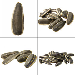 Similar image 8268519