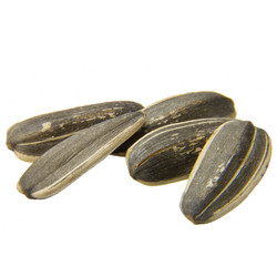 Similar image 8268520