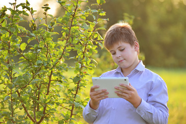 Similar image 8268743