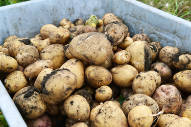 Similar image 8268801