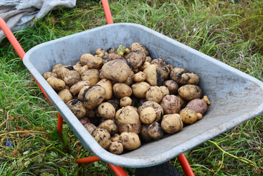 Similar image 8268808