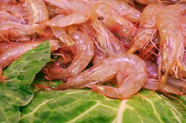 Similar image 8268943