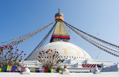 Similar image 8268948