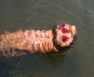 Similar image 8268959