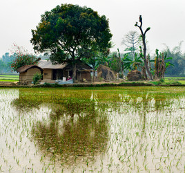 Similar image 8268972