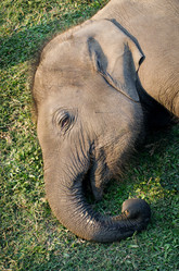 Similar image 8268973