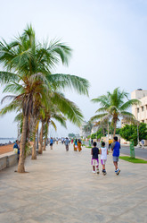 Similar image 8269001