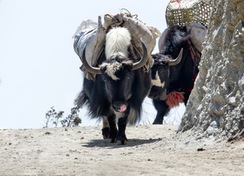 Similar image 8269007