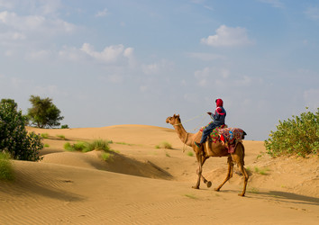 Similar image 8269013