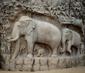 Similar image 8269018