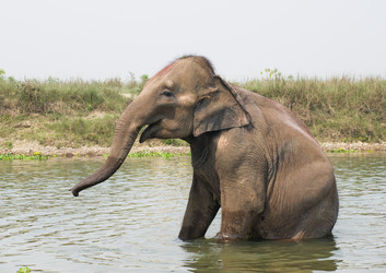 Similar image 8269023