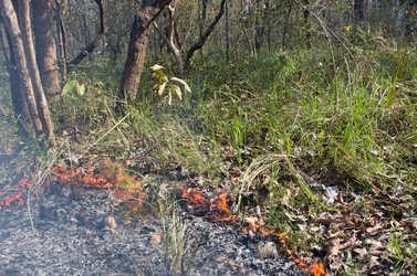 Similar image 8269027