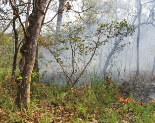 Similar image 8269029