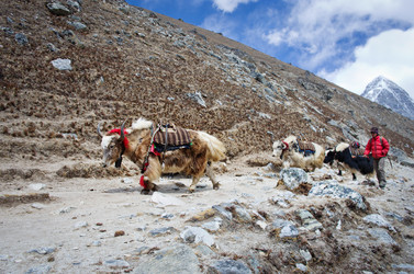 Similar image 8269034