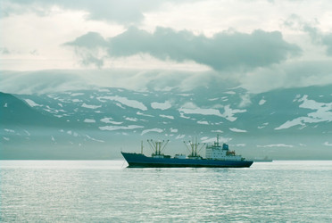 Similar image 8269054