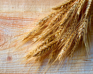 Similar image 8269059