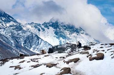 Similar image 8269103