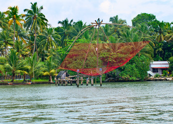 Similar image 8269116